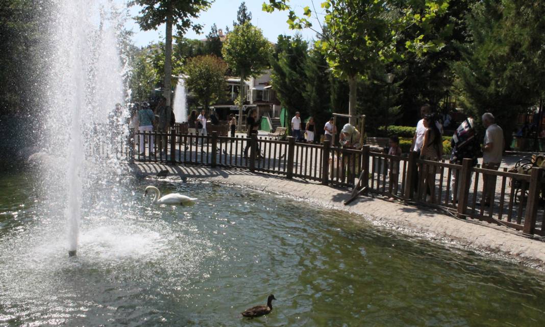 Vatandaşlar sıcak havanın tadını Kuğulu Park’ta çıkardı 11