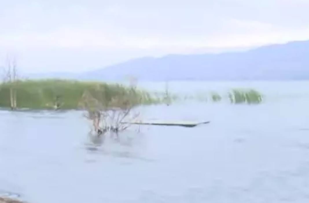 Depreme haber mi bulundu? Uzmanı tek tek anlattı 4