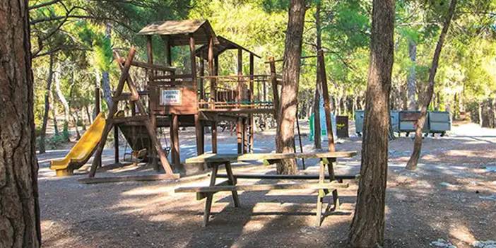 İzmir'de nerede piknik yapılır? İşte doğa harikası yerler! 6
