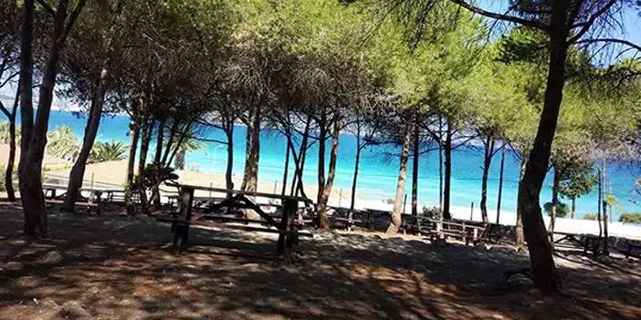 İzmir'de nerede piknik yapılır? İşte doğa harikası yerler! 9