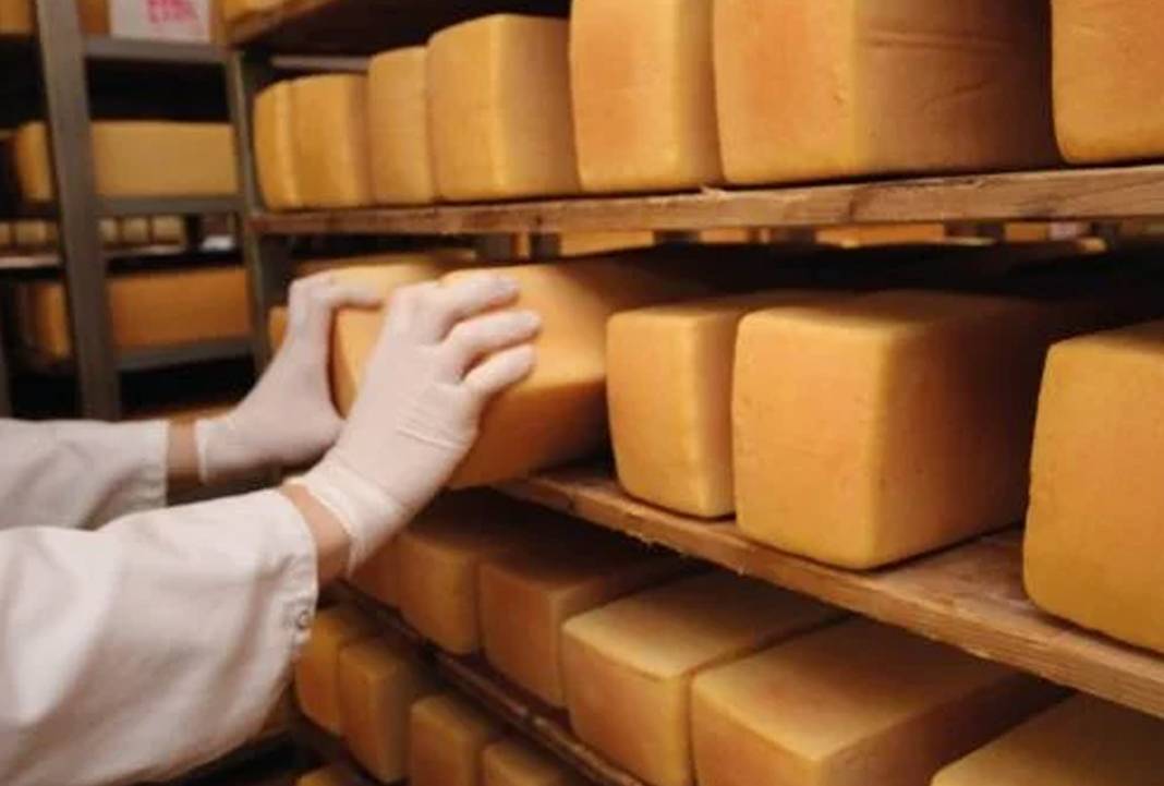Marketler harekete geçti: O peynir hastalık saçıyor iddiası! 3