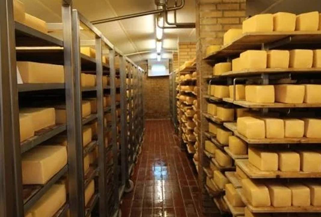 Marketler harekete geçti: O peynir hastalık saçıyor iddiası! 4