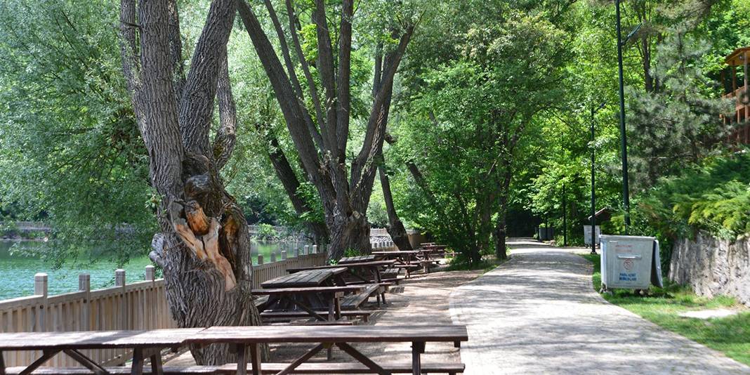 Ankara'nın doğa harikası: İşte Karagöl Tabiat Parkı 7