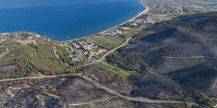 İzmir'deki yangınların nedeni belli oldu: İşte facianın boyutu 8