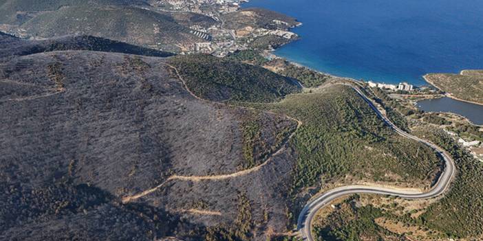 İzmir'deki yangınların nedeni belli oldu: İşte facianın boyutu 9