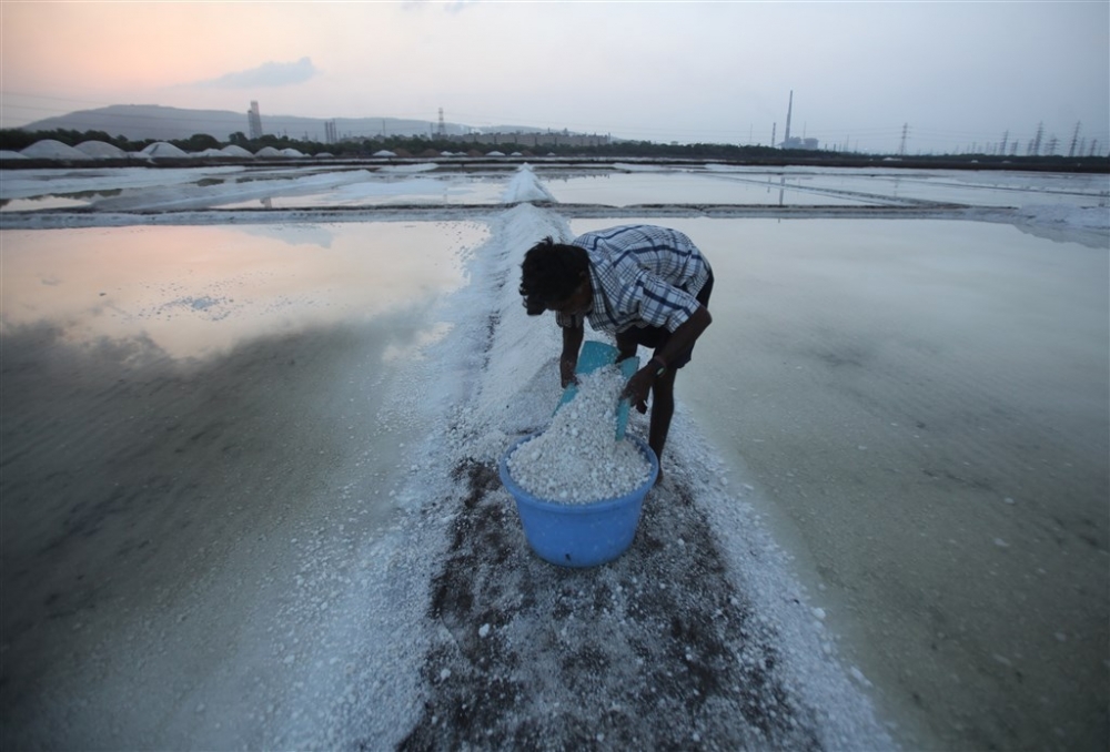 Bombay’da tuz hasadı 5