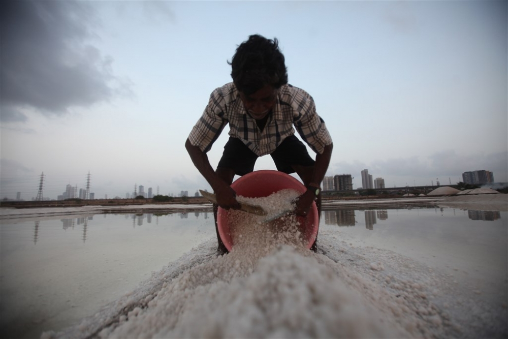 Bombay’da tuz hasadı 7