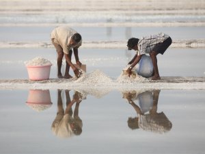 Bombay’da tuz hasadı
