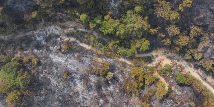 İzmir'in ciğerleri küle döndü... Yangının verdiğini zarar havadan görüntülendi 8