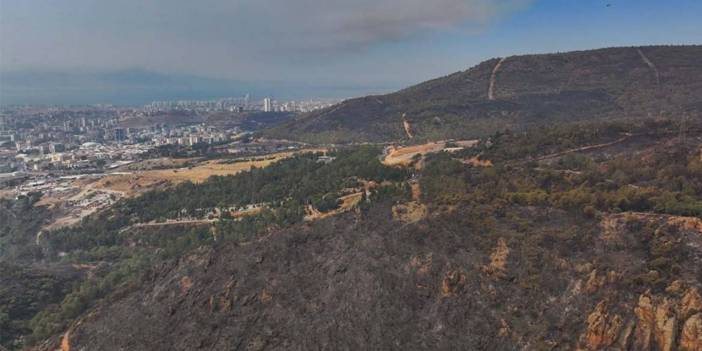 İzmir'in ciğerleri küle döndü... Yangının verdiğini zarar havadan görüntülendi 9