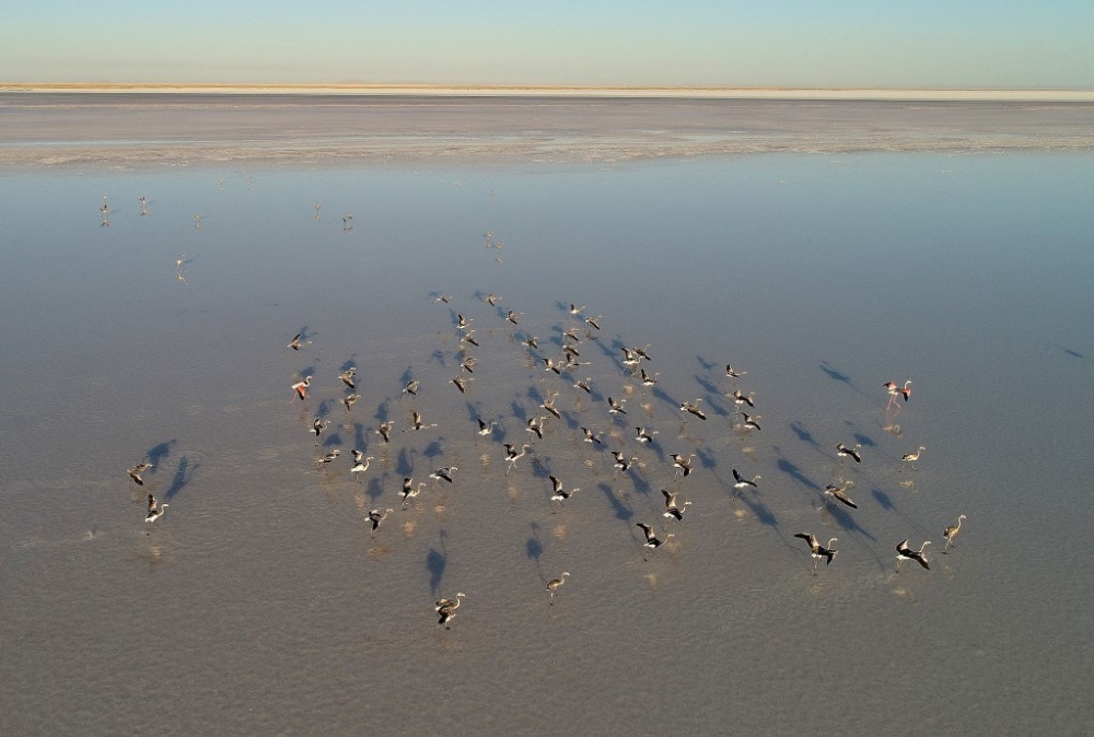 Flamingo cenneti Tuz Gölü’ne turist akını 2