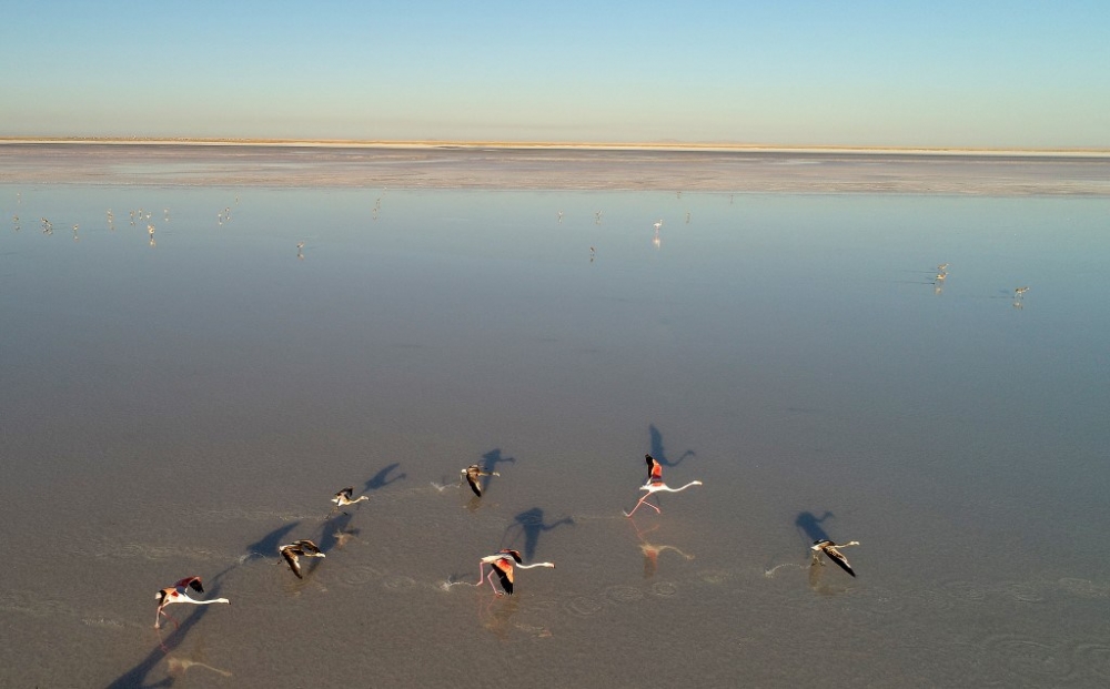 Flamingo cenneti Tuz Gölü’ne turist akını 3