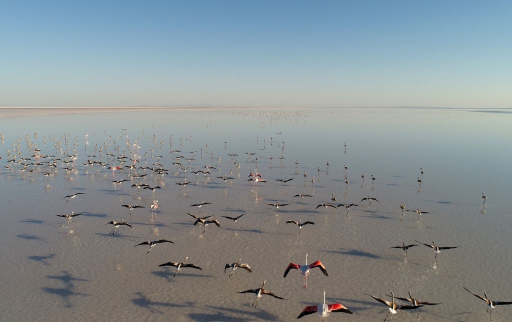 Flamingo cenneti Tuz Gölü’ne turist akını 5