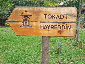 Hayreddin Tokadi HZ.leri türbesi nerede ? Ağaçlı Cami nerede?