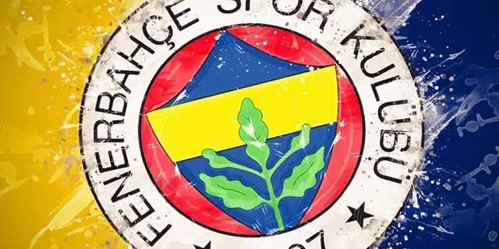 Fenerbahçe başvurdu: TFF soruşturma başlattı 4