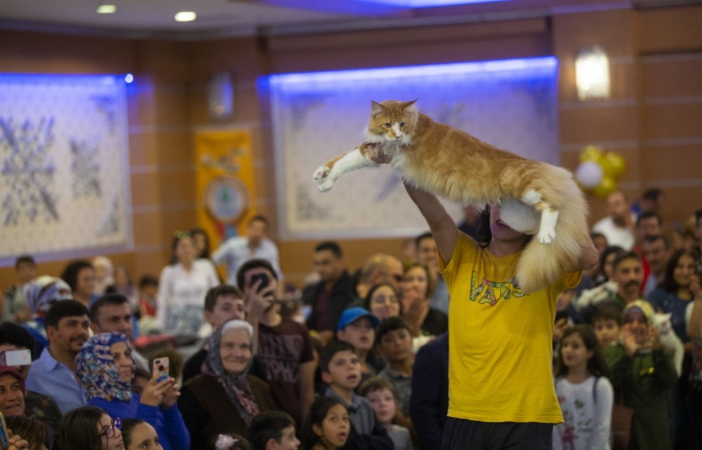 Ankara Pursaklar'da “Kedi Güzellik Festivali” düzenlendi 16
