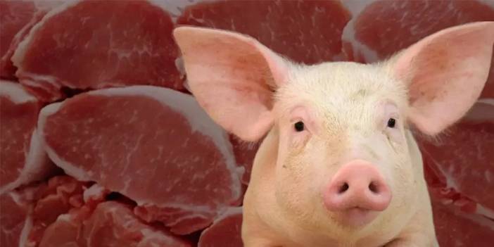 Kebapta ve sucukta domuz eti! 5 ilde şoke eden gıda skandalı 3