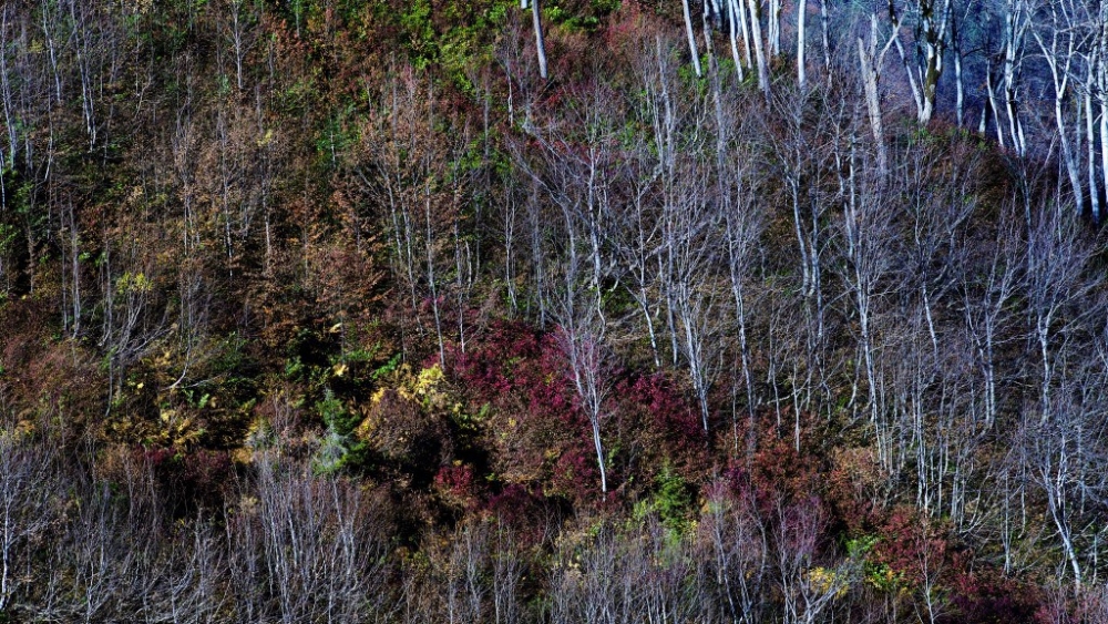 Karçal Dağları’nda sonbahar güzelliği 2