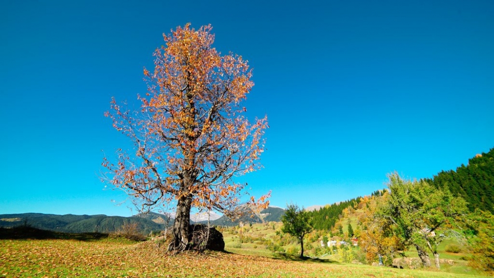 Karçal Dağları’nda sonbahar güzelliği 9