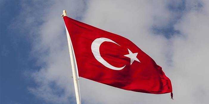 Türkiye’de yeni tehdit: Çin kökenli kene baskını 1