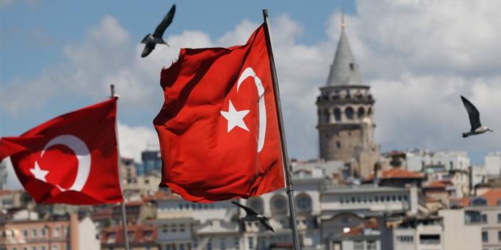 Türkiye’de yeni tehdit: Çin kökenli kene baskını 3