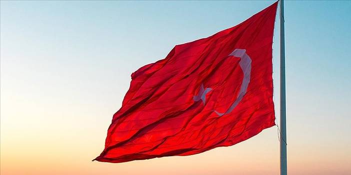 Türkiye’de yeni tehdit: Çin kökenli kene baskını