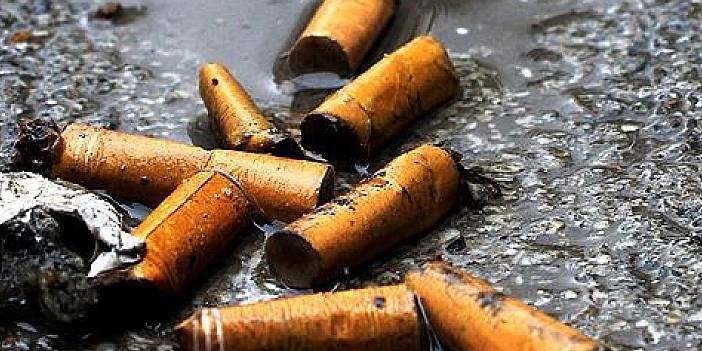 Sigarayı yere atan yandı: Cezası 183 bin TL 4