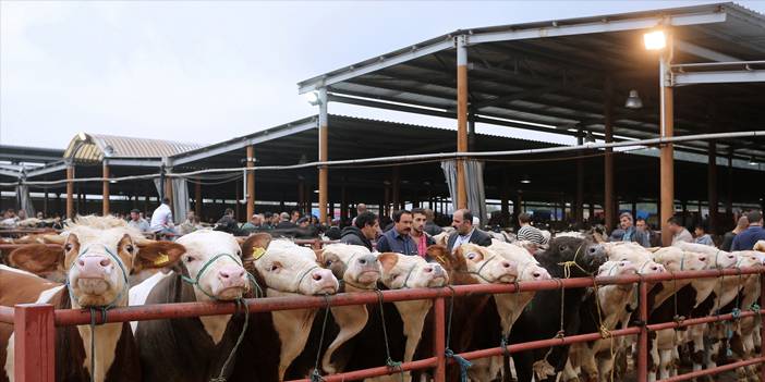 Türkiye yeni virüsle alarma geçti: 81 il karantinada 2