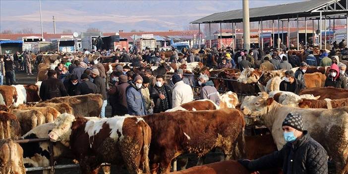 Türkiye yeni virüsle alarma geçti: 81 il karantinada 3