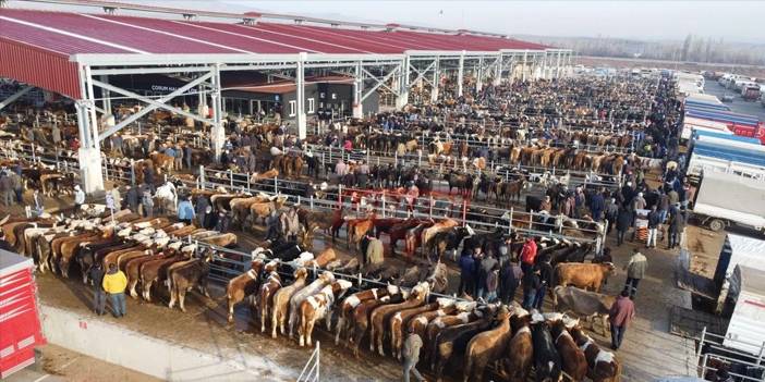 Türkiye yeni virüsle alarma geçti: 81 il karantinada 4