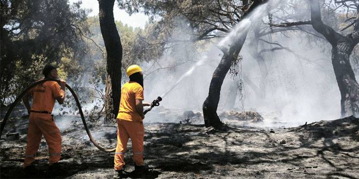 Antalya'da yangın yeniden başladı 2