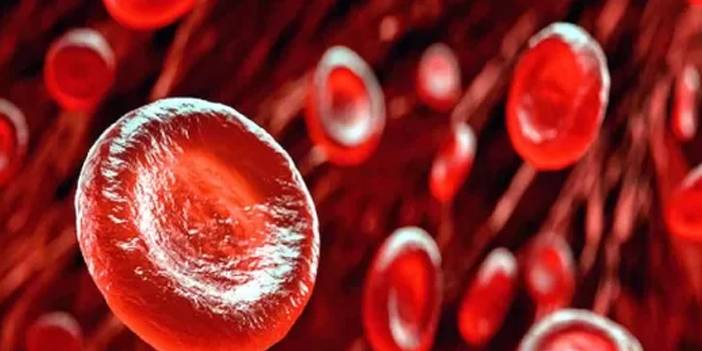 Kan grubu inmeyle bağlantılı çıktı: A grubu genç yaşta risk taşıyor 4