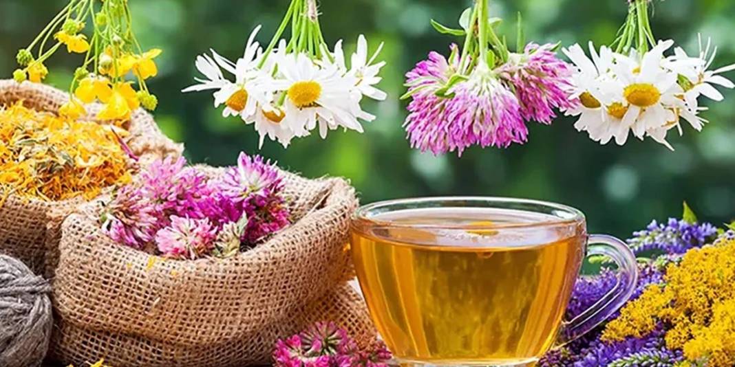 Akşamdan sabaha kilo verdiren formül: İçtikçe kilo verdiren çaylar listelendi 1