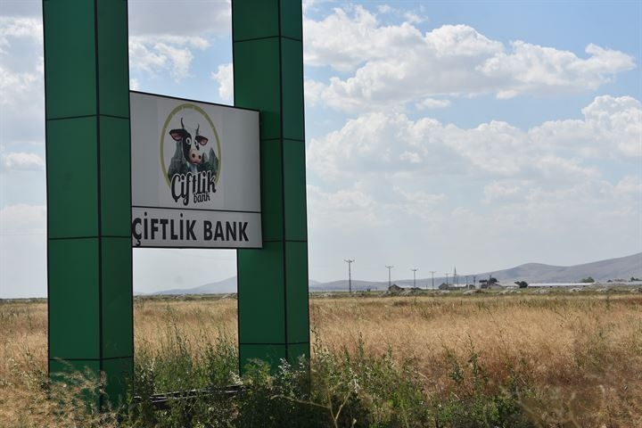 Konya'da 'Çiftlik Bank'ın tabelası ve temeli kaldı 5