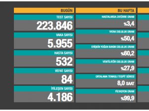 Gün gün koronavirüs tablosu: Toplam vaka sayıları 16 Haziran 2021