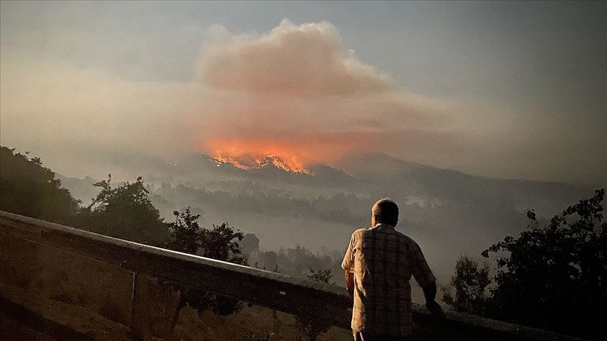 Ankara Nallıhan'da orman yangını 1