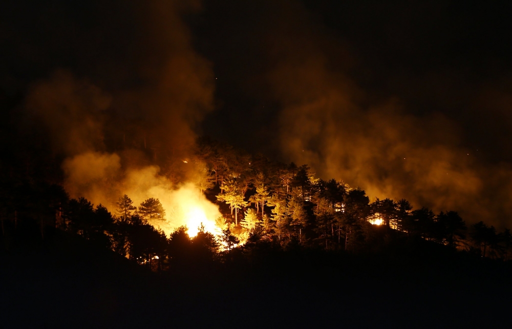 Ankara Nallıhan'da orman yangını 10