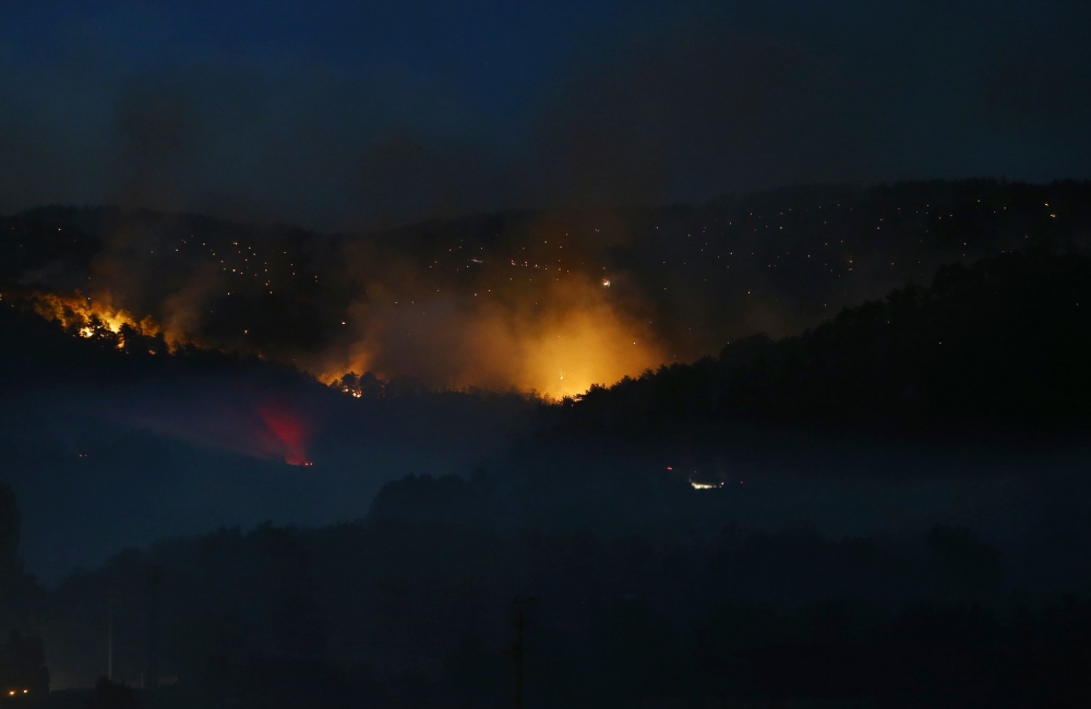Ankara Nallıhan'da orman yangını 11