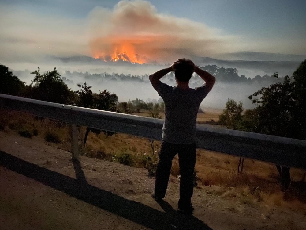 Ankara Nallıhan'da orman yangını 12
