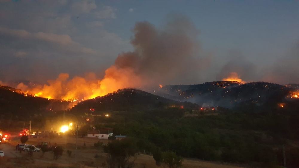 Ankara Nallıhan'da orman yangını 13