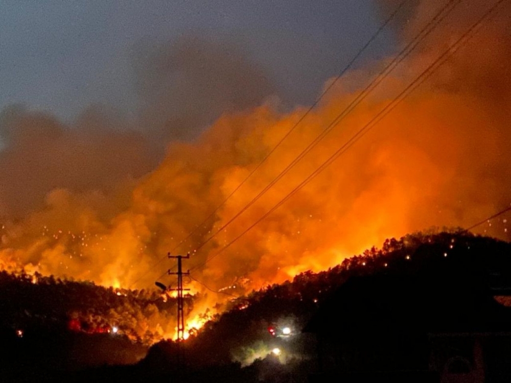 Ankara Nallıhan'da orman yangını 14