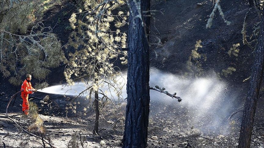 Ankara Nallıhan'da orman yangını 15