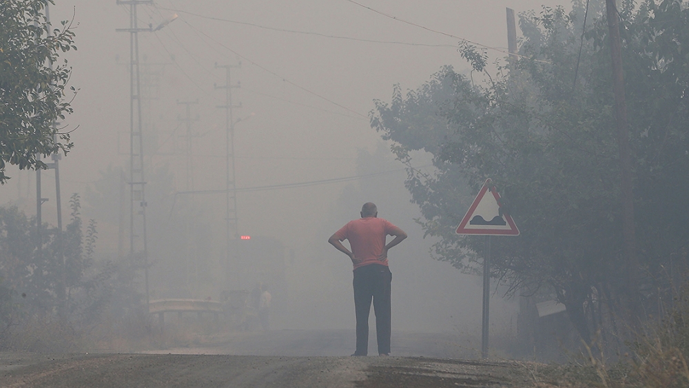 Ankara Nallıhan'da orman yangını 3