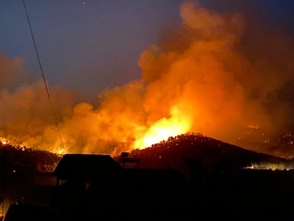 Ankara Nallıhan'da orman yangını 4