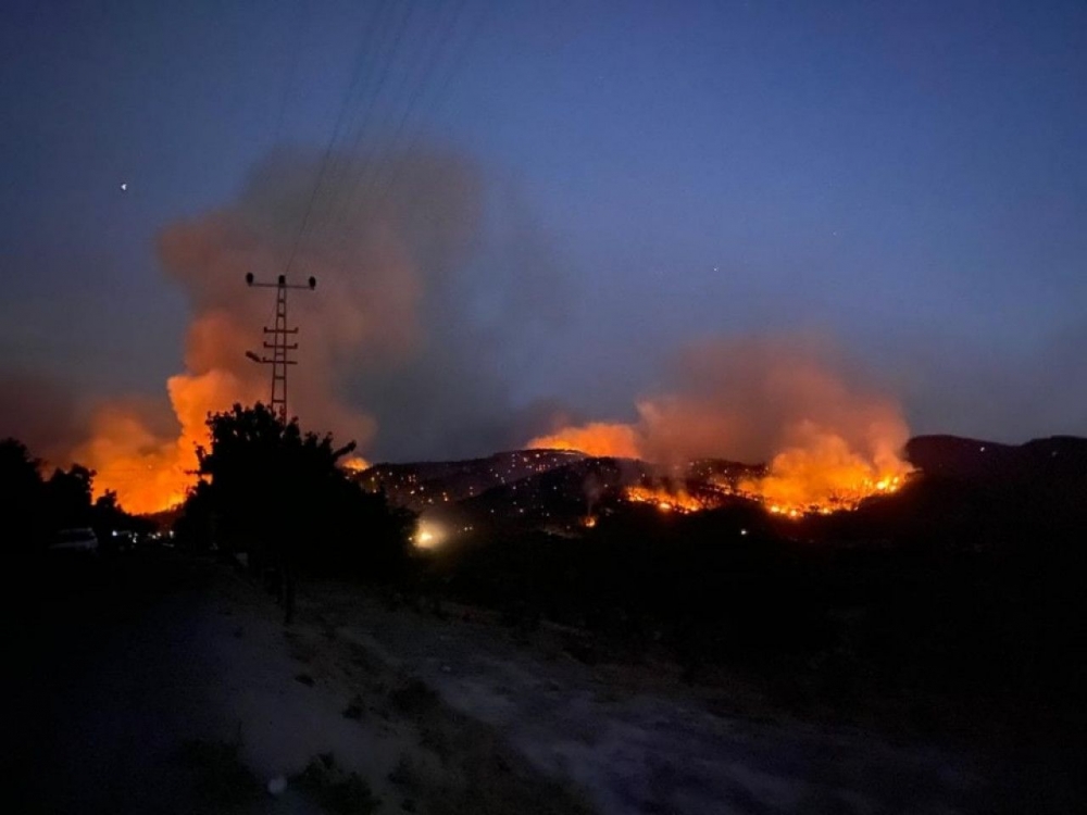 Ankara Nallıhan'da orman yangını 5