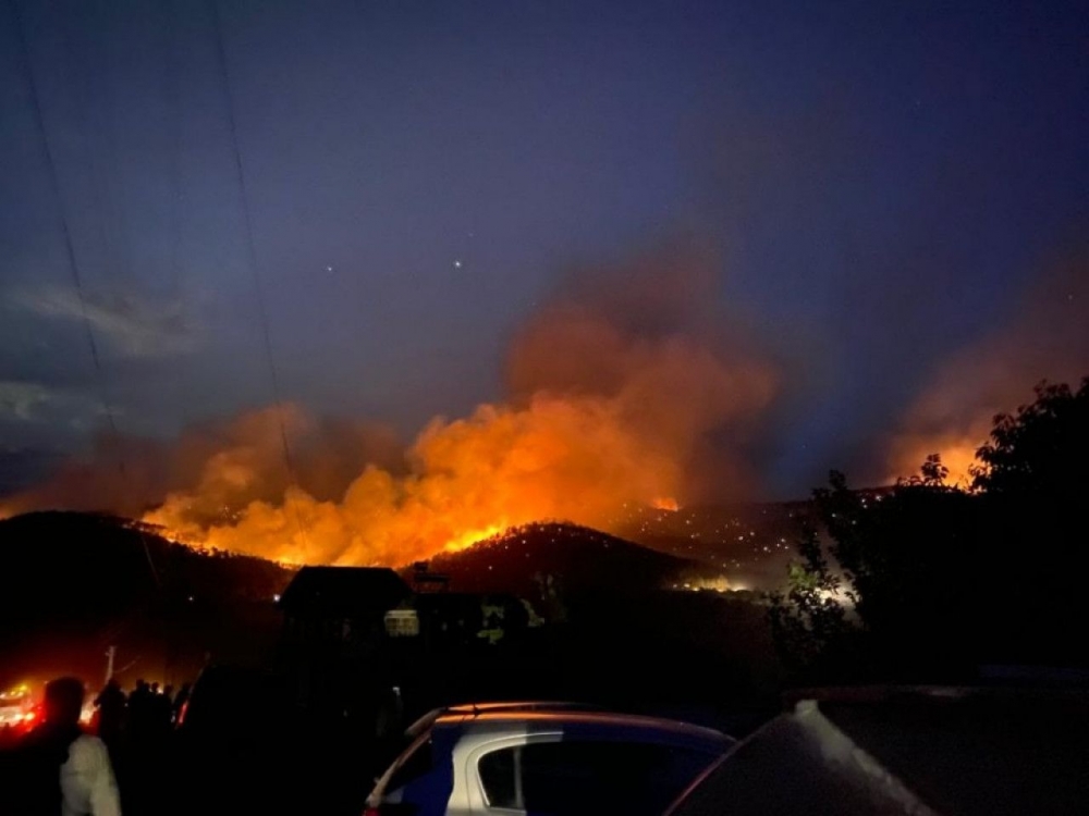 Ankara Nallıhan'da orman yangını 6