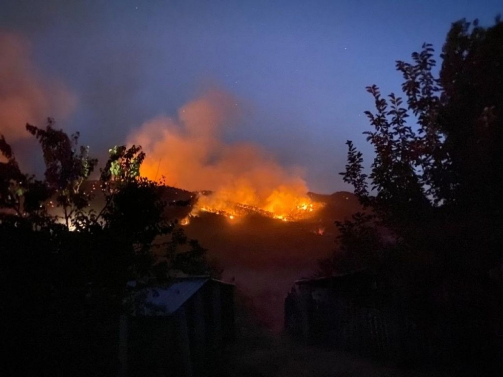 Ankara Nallıhan'da orman yangını 7
