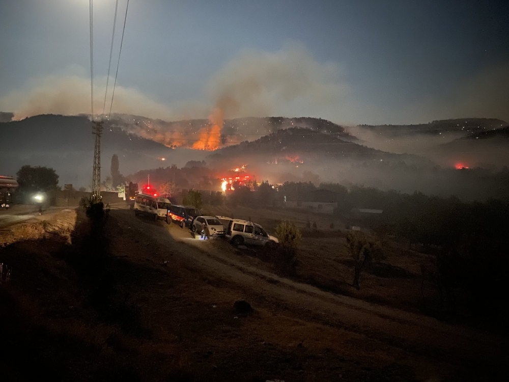 Ankara Nallıhan'da orman yangını 8