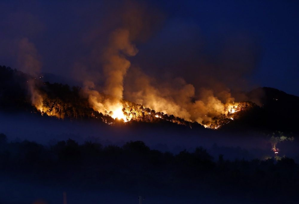Ankara Nallıhan'da orman yangını 9