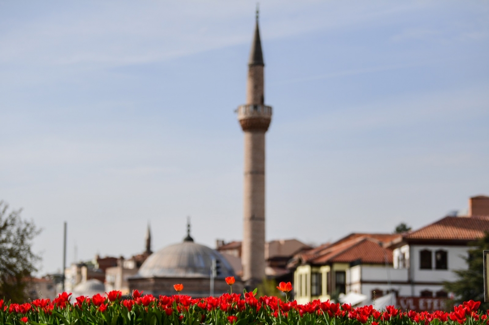 Altındağ lalelerle donatıldı 1